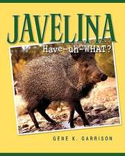 Javelina