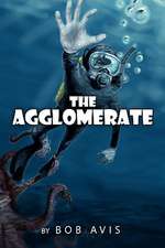 The Agglomerate