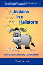 Jackass in a Hailstorm