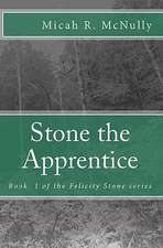 Stone the Apprentice