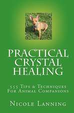 Practical Crystal Healing