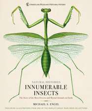 Innumerable Insects