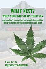 What Next? When Your Kid Steals Your Van