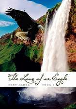 Hanna, T: Love of an Eagle - Book 1