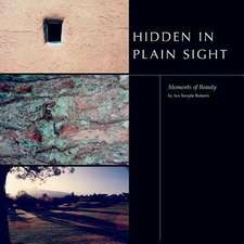 Hidden in Plain Sight - Moments of Beauty