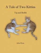 A Tale of Two Kitties -- Taj and Bodhi