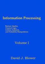 Information Processing