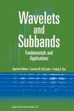 Wavelets and Subbands: Fundamentals and Applications