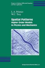 Spatial Patterns: Higher Order Models in Physics and Mechanics