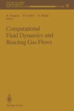 Computational Fluid Dynamics and Reacting Gas Flows