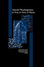 Vascular Morphogenesis: In Vivo, In Vitro, In Mente