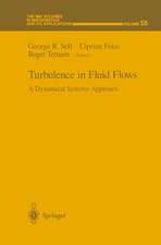 Turbulence in Fluid Flows: A Dynamical Systems Approach