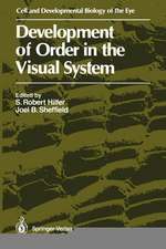 Development of Order in the Visual System