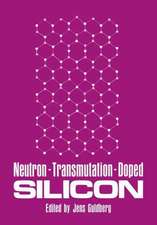 Neutron-Transmutation-Doped Silicon