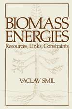 Biomass Energies: Resources, Links, Constraints