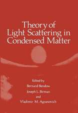 Theory of Light Scattering in Condensed Matter: Proceedings of the First Joint USA-USSR Symposium