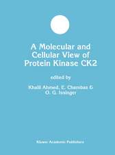 A Molecular and Cellular View of Protein Kinase CK2