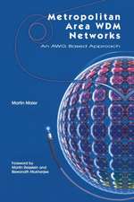 Metropolitan Area WDM Networks: An AWG Based Approach