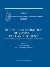 Molecular Evolution of Viruses — Past and Present: Evolution of Viruses by Acquisition of Cellular RNA and DNA