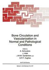 Bone Circulation and Vascularization in Normal and Pathological Conditions