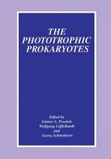 The Phototrophic Prokaryotes