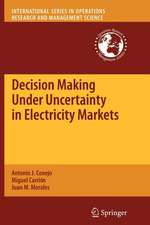 Decision Making Under Uncertainty in Electricity Markets