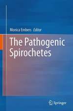 The Pathogenic Spirochetes: strategies for evasion of host immunity and persistence