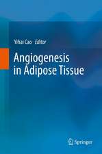 Angiogenesis in Adipose Tissue