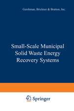 Small-Scale Municipal Solid Waste Energy Recovery Systems