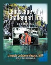 Landscape of a Challenged Life