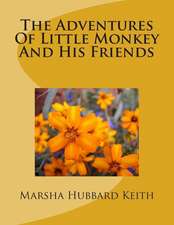 The Adventures of Little Monkey and His Friends