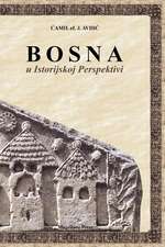 Bosna U Istorijskoj Perspektivi