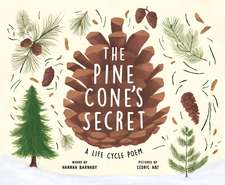 The Pine Cone's Secret