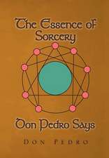 Pedro, D: Essence of Sorcery Don Pedro Says