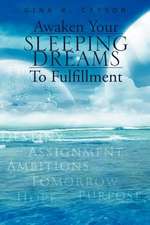 Awaken Your Sleeping Dreams To Fulfillment