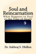 Soul and Reincarnation