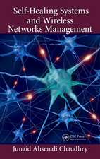 Self-Healing Systems and Wireless Networks Management