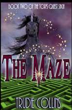 The Maze