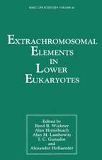 Extrachromosomal Elements in Lower Eukaryotes