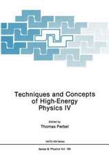 Techniques and Concepts of High-Energy Physics IV