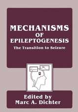 Mechanisms of Epileptogenesis