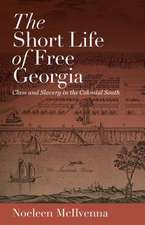 The Short Life of Free Georgia: Class and Slavery in the Colonial South