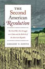 Downs, G: Second American Revolution