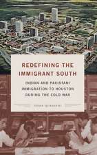 Redefining the Immigrant South