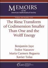 Riesz Transform of Codimension Smaller Than One and the Wolff Energy