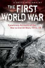 A Brief History of the First World War