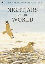 Nightjars of the World