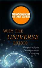 New Scientist: Why the Universe Exists