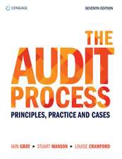 The Audit Process