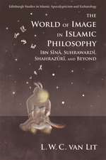 The World of Image in Islamic Philosophy